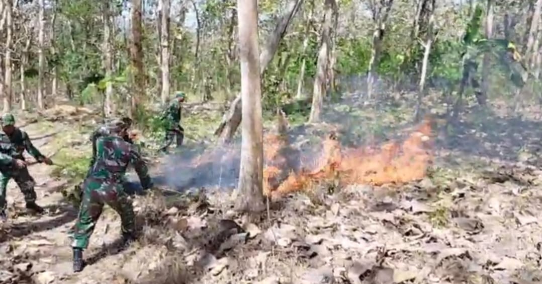 Api Membakar Lahan Perhutani di Ngepoh, Babinsa Bergerak Cepat Cegah Merembet ke Permukiman