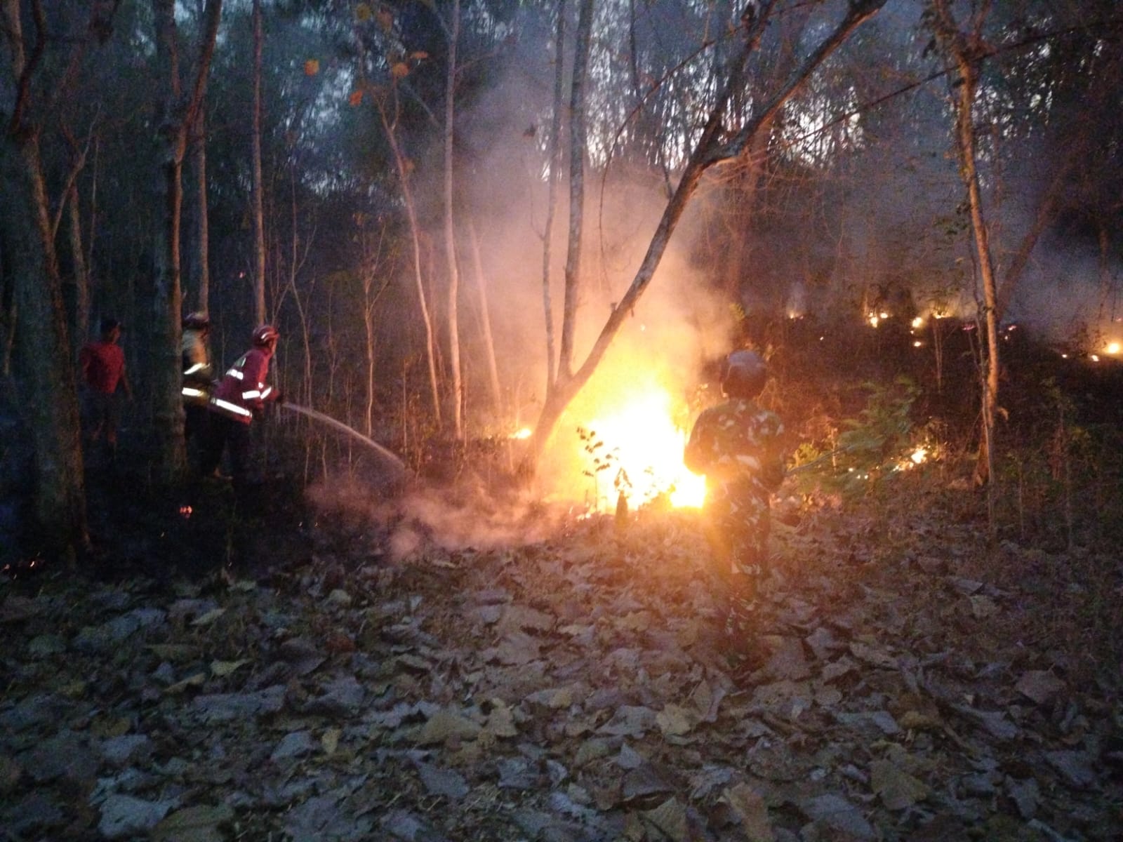 Kebakaran Lahan Perhutani di Tiudan Meluas 2 Hektare, Tim Gabungan Bergerak Cepat