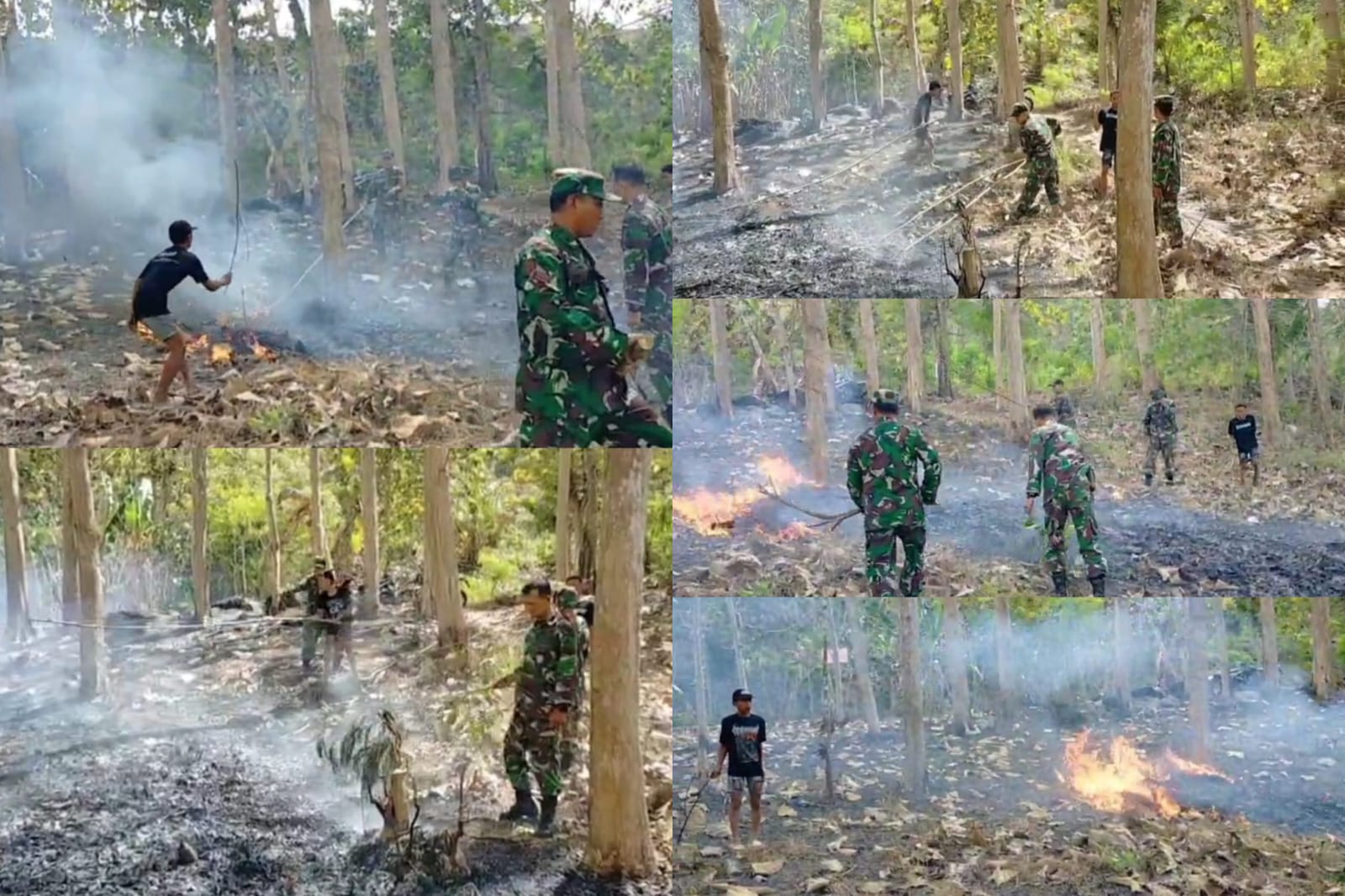 Kebakaran Lahan Perhutani di Pakisrejo, Babinsa dan Warga Bergerak Cepat Padamkan Api