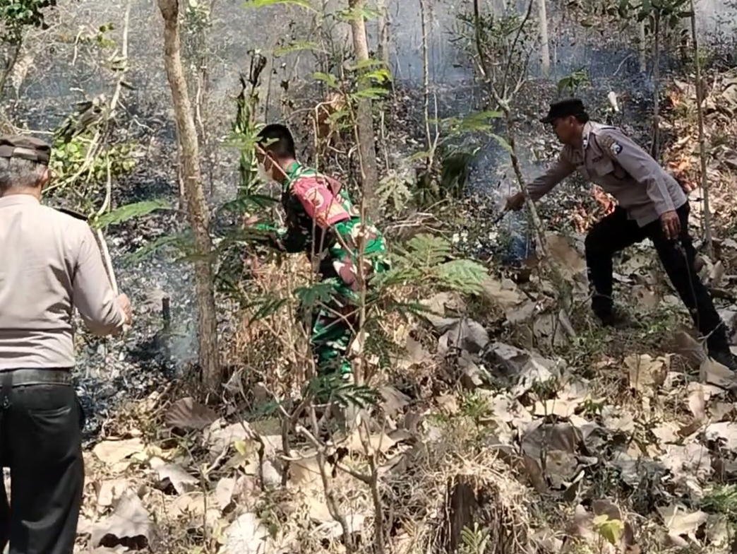 Petugas Gabungan Padamkan Kebakaran Lima Hektare Lahan Perhutani di Pucungkidul