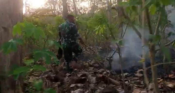 Koramil Tanggunggunung Gerak Cepat Padamkan Kebakaran Hutan di Desa Ngepoh