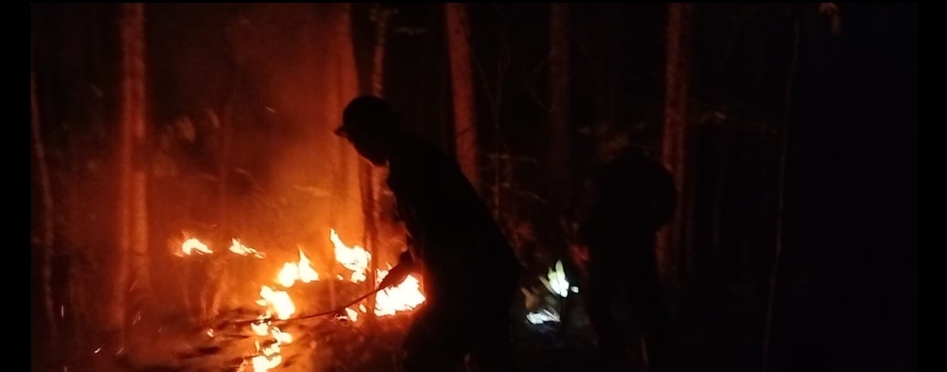 Petugas Gabungan Padamkan Api di Lereng Gunung Klampisan, Satu Hektare Lahan Perhutani Terdampak