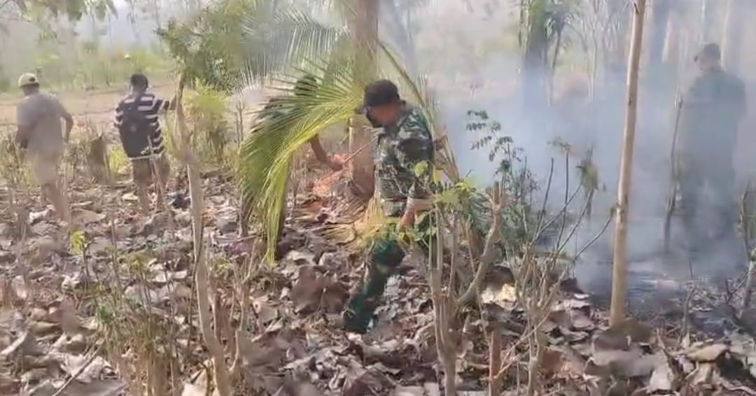 Kebakaran Lahan Perhutani di Ngepoh, TNI dan Warga Padamkan Api Seluas Satu Hektare