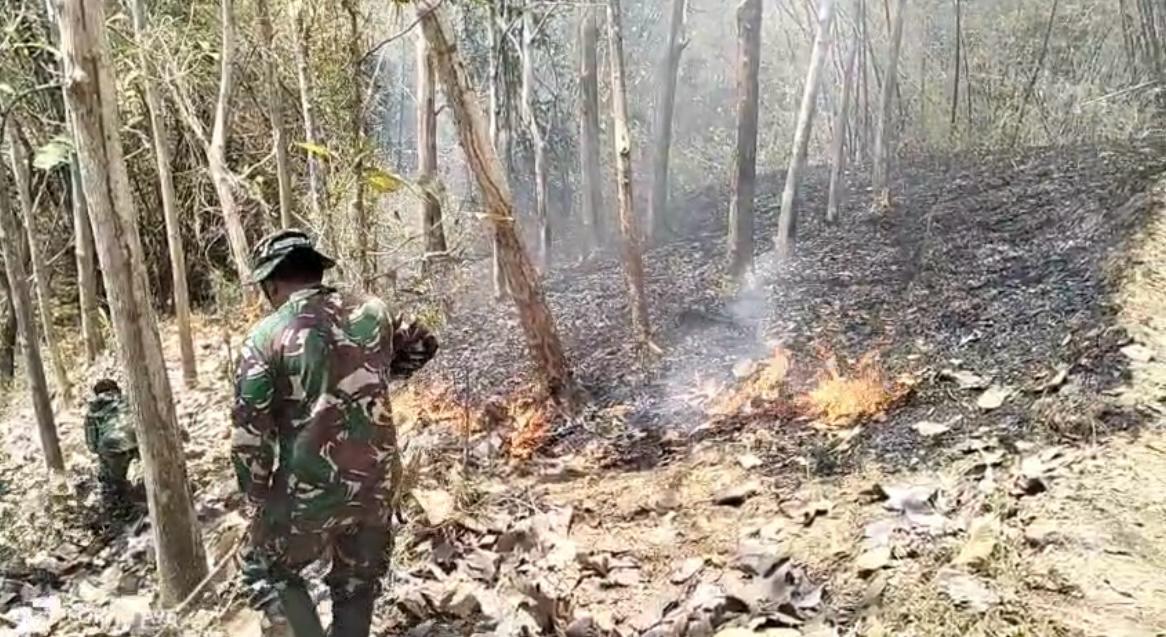 Babinsa dan Personel TNI Padamkan Kebakaran Lahan Perhutani di Pojok Campurdarat